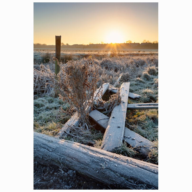 Ditton Meadows frost