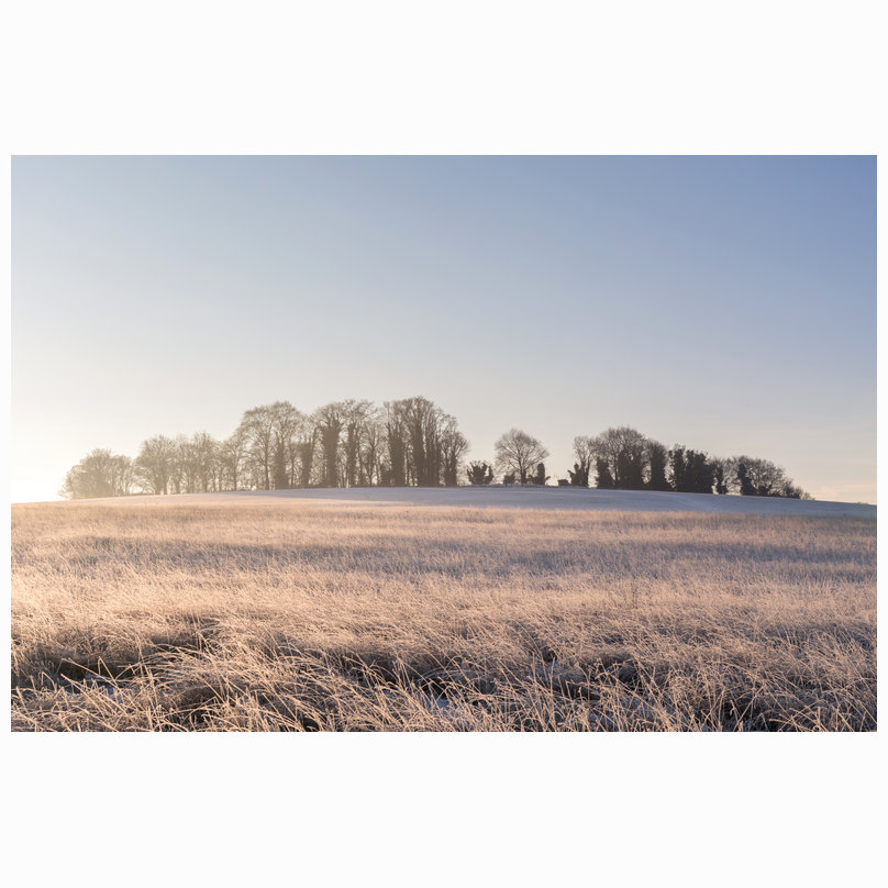 Frosty Gog Magogs
